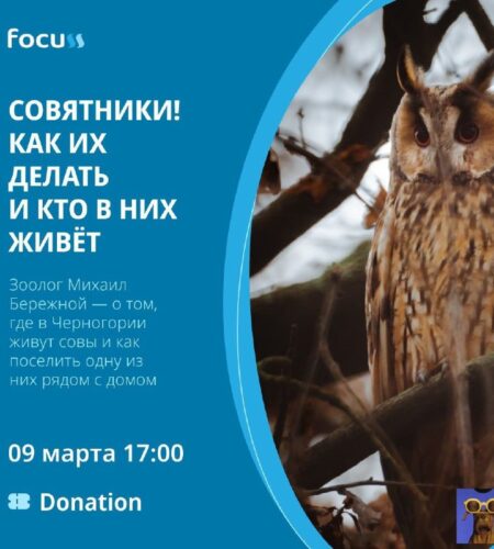 [Photo] Как делать совятники?