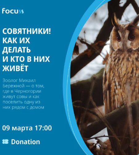 [Photo] СОВЯТНИКИ!