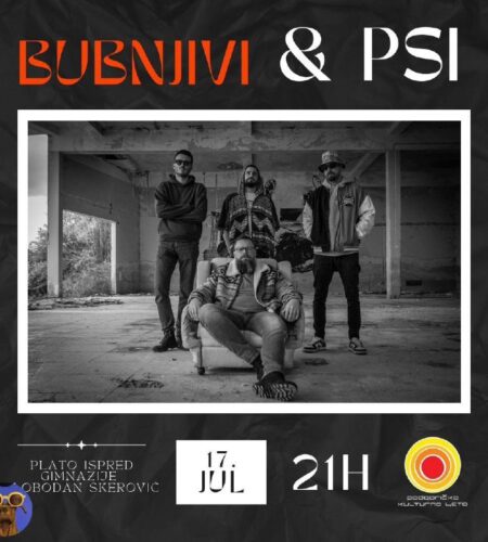 [Photo] Концерт BubnjIvi & Psi в Подгорице