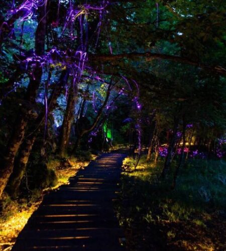 [Photo] Июль в парке света LightLand 🌲🌟