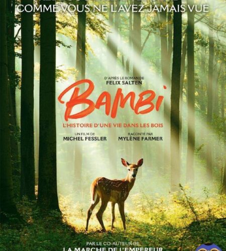 [Photo] Месяц европейского кино в Которе