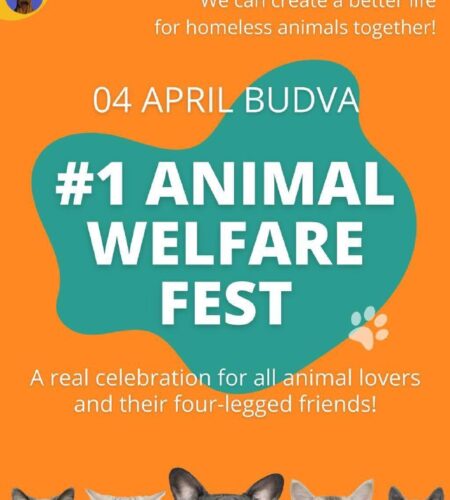 [Photo] Фестиваль Animal Welfare Fest в Будве В пя...