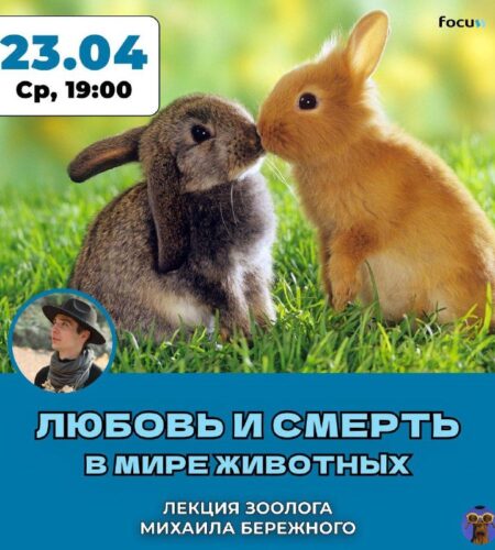 [Photo] Лекция зоолога в Баре: Любовь и смерть в м...