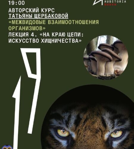 [Photo] Лекция «Искусство хищничества» в Будве В п...