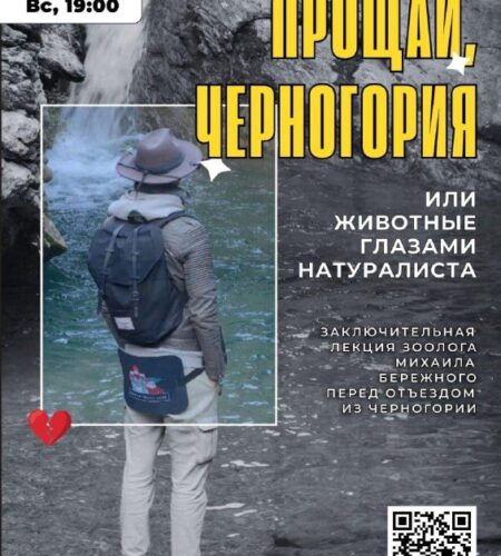 [Photo] Животные Черногории глазами натуралиста ил...