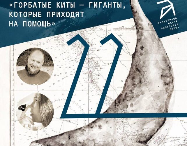 Афиша мероприятия о китах в Черногории 22 августа. Лекторы: Стельмахович и Любимова, Будва.