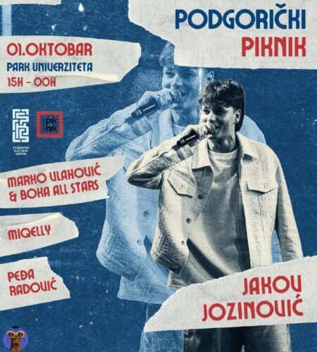 [Photo] Пикник в Подгорице — музыка, винил, комикс...