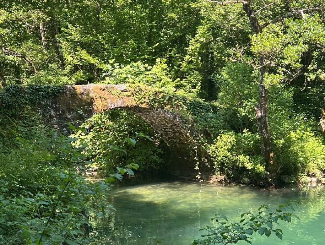 Старинный мост в живописном лесу Черногории, покрытый зеленью, над прозрачной рекой.