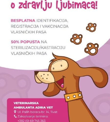 [Photo] Бесплатная вакцинация и скидка на стерилизацию собак...