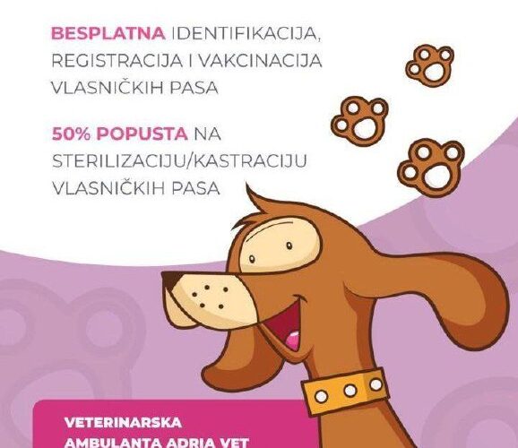 Ветеринарная клиника в Тивате: Бесплатная вакцинация собак и скидка на кастрацию, забота о питомцах в Черногории.
