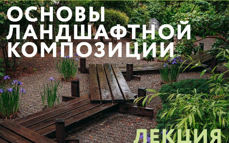 Лекция по ландшафтной композиции в Черногории, 30 октября 2025, Александр Толоконников, A&A Interior.