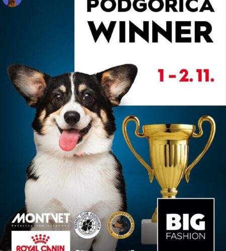 [Photo] Выставка собак в Подгорице В выходные, 1 и...