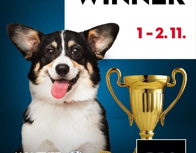 Собачья выставка Podgorica Winner в Черногории, 1-2 ноября. Золотая чашка и счастливый пёс на фоне логотипов спонсоров.