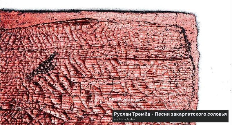 Изображение для блога о событиях в Черногории: арт-инсталляция на мероприятии в Будве.