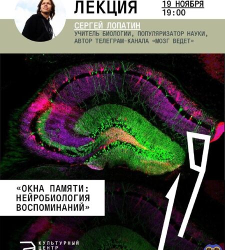 [Photo] Лекция в Будве «Окна памяти: нейробиология...