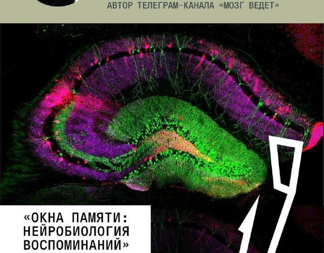 Лекция в Будве: Сергей Лопатин о нейробиологии воспоминаний. 19 ноября, 19:00, Культурный Центр.