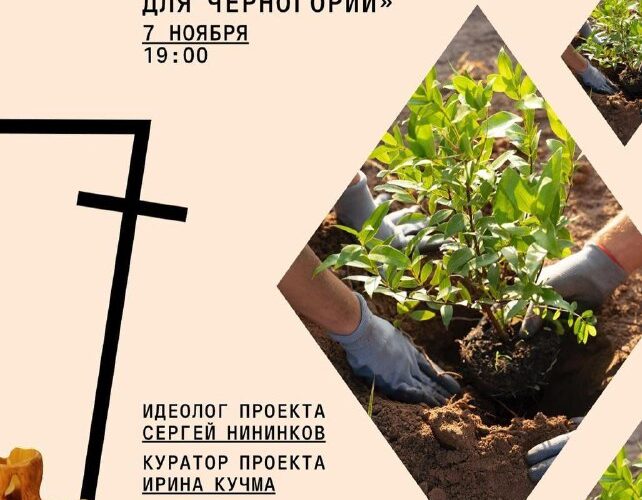 Паблик-ток в Будве: Проект «7000 деревьев» для Черногории, 7 ноября, 19:00; искусство и природа.