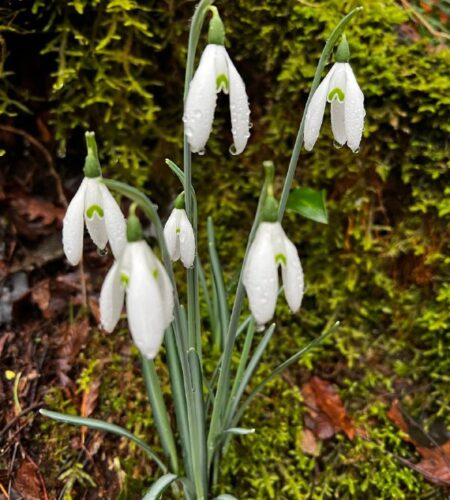 [Photo] 🚩☀️🏞️ ГРУППА ХАЙКИНГА «Исследуя Черногорию...