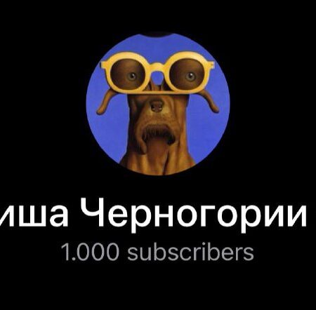 [Photo] Вас 1000 ❤️ — спасибо, что вы снова с нами и читаете...