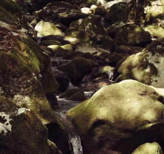 Горный ручей в Черногории, окружённый мхом и камнями, природное место для отдыха и событий на свежем воздухе.