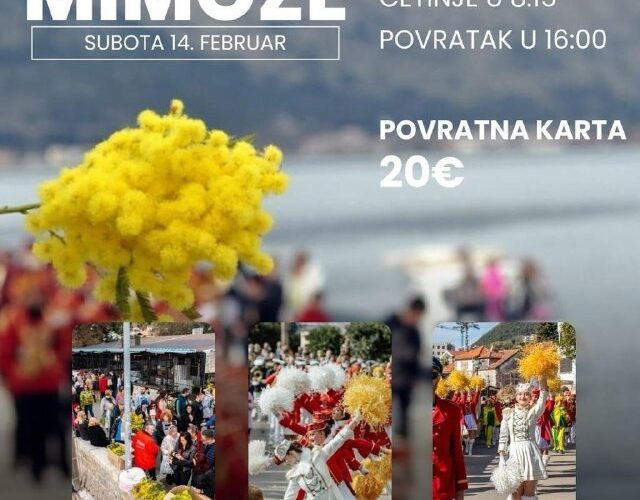 Изображение фестиваля мимозы в Черногории: дата, расписание, стоимость билета и контакт для бронирования.