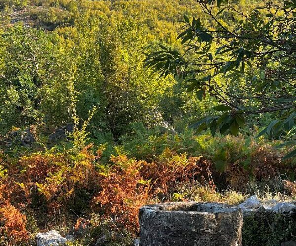 Старый каменный колодец на фоне живописных холмов Черногории в солнечный день, природа и история.