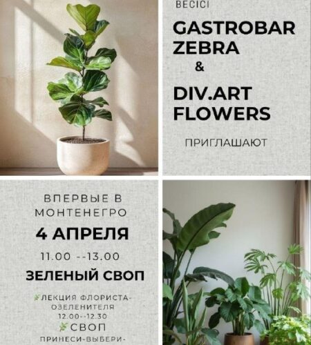 [Photo] Зеленый своп в Бечичи (Будва) В субботу, 4...