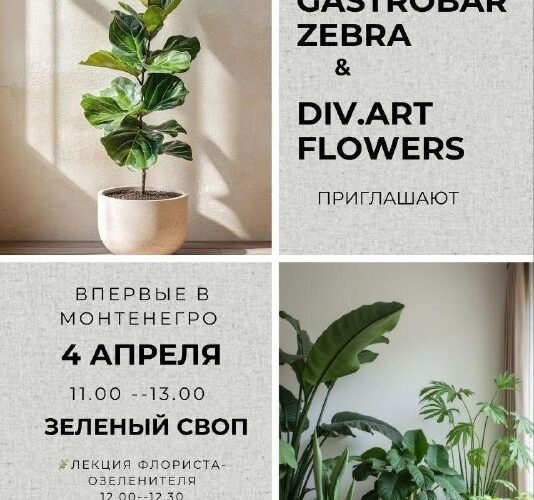 Афиша мероприятия в Черногории 4 апреля 2026 года: Зеленый своп, лекции, обмен растениями в Бечичи.