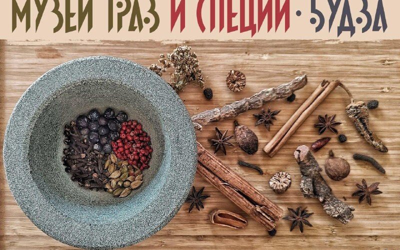 Музей трав и специй в Будве, Черногория: выставка специй на деревянном столе с миской.