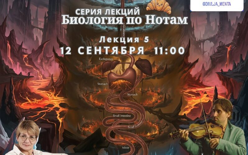 Серия лекций в Черногории: Биология по нотам, Лекция 5, 12 сентября, о событиях и музыке.