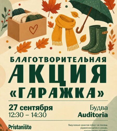[Photo] Благотворительный маркет в Будва: Auditori...